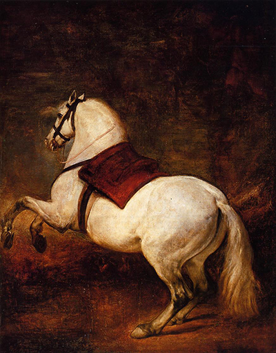 White Horse Diego Velazquez